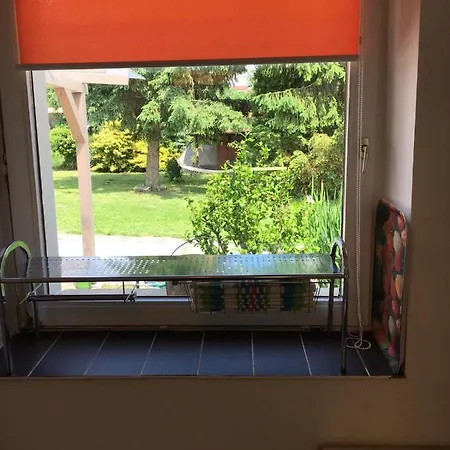 Luna Vendeghaz Novaj